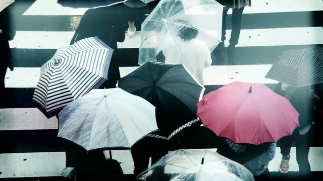 東京　渋谷スクランブル交差点　6月　梅雨　雨の日　俯瞰　スロー　4倍速