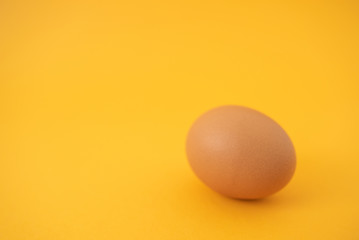 brown raw egg on yellow background