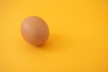 brown raw egg on yellow background