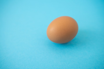 brown raw egg on blue background