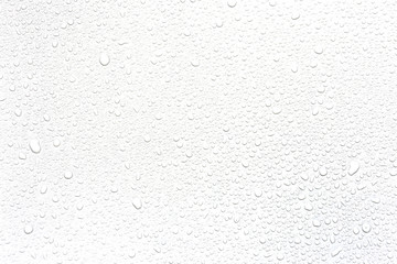 Water rain drops isolated on white background. - obrazy, fototapety, plakaty