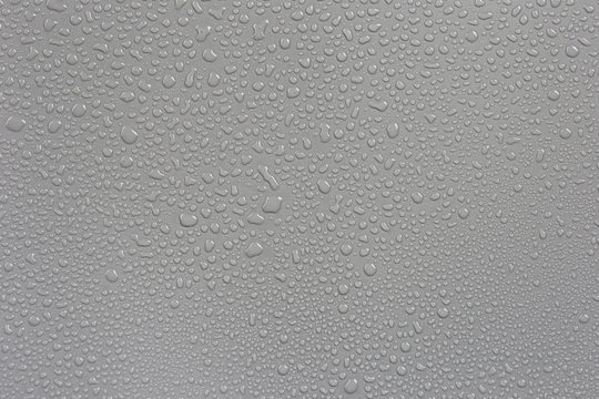 Rain on the hood, gray background car.