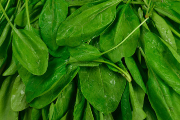 Fresh spinach leaves as background.