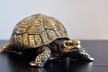 Golden feng-shui turtle on a white background and dark table. Close up, top view
