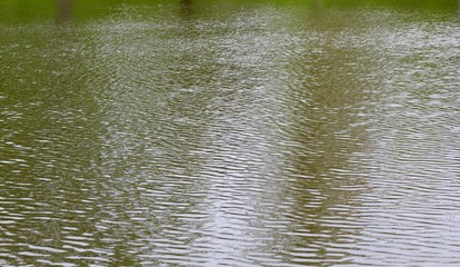 The ripples in the water surface on a close view.