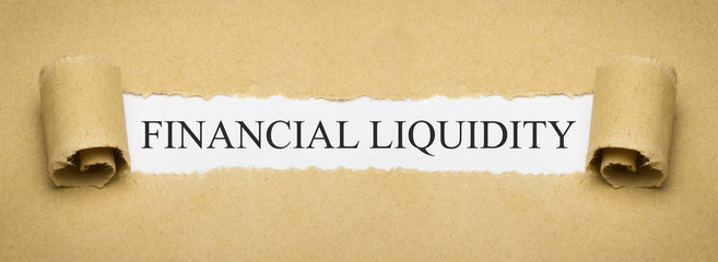 Financial liquidity