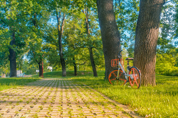 Obraz premium someone has left a shared bike in park during the summer. it's an eco choose for moving in a town