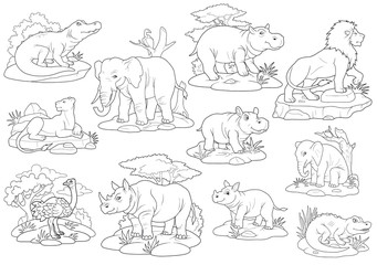 africa wild animals, coloring book, set of images