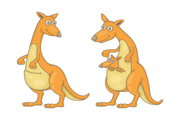 Set of Kangaroos. isolated on white background