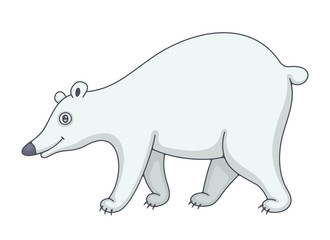 Polar Bear. isolated on white background