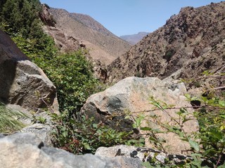 Atlas mountains located in trophical Africa - Morocco.