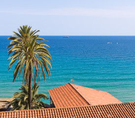 Fototapeta na wymiar Beautiful view to sea down from the city of tarragona in northern spain. Mediterranean sea is green and blue in the background. A Palm and red roofs with tiles in the front.