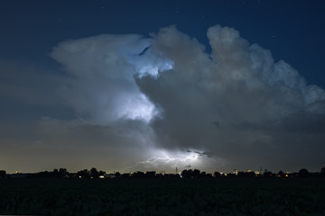 Horizontal branched lightning bolt below an autumn thunderstorm near The Hague, The Netherlands