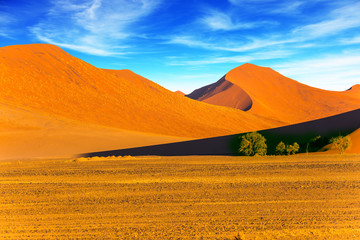 Dunes of the Namib desert