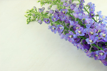 blue flowers on light background