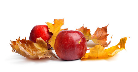 Several ripe juicy red apples with autumn leaves on  isolated background