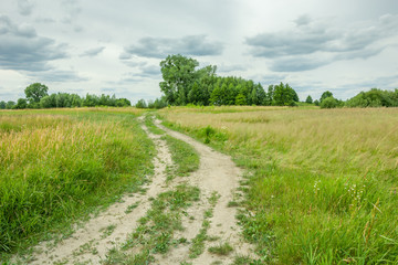 Country road through wild meadows, forest and gray clouds on the sky