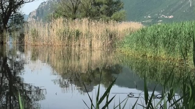 il biotopo di Baitoni