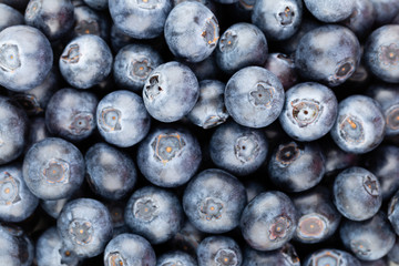 Fresh blueberry background. Texture blueberry berries close up.