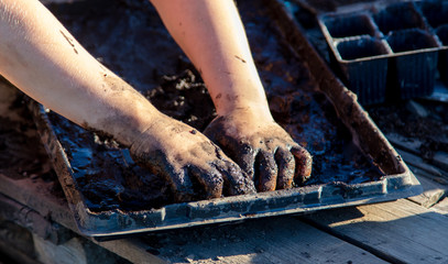 Hands of a boy in black mud on nature
