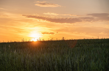Obraz na płótnie Canvas Sonnenuntergang über dem Feld