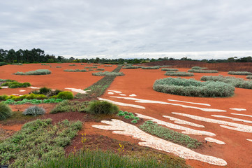 Australian arid garden at the Royal Botanic Gardens in Cranbourne.