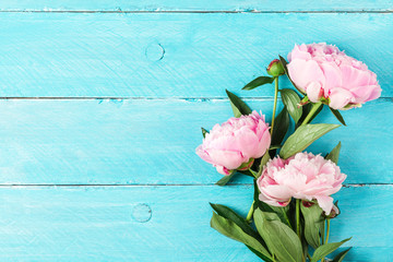 Fototapeta na wymiar pink peony flowers bouquet on blue wooden background. flat lay. top view