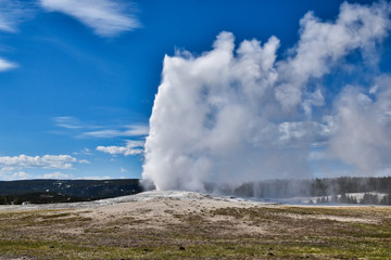 Yellowstone National Park