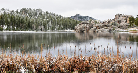 Black Hills National Forest