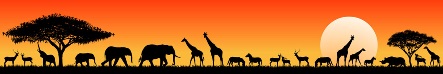 Fototapeta African savanna animals at sunset. Silhouettes of wild animals of the African savannah obraz