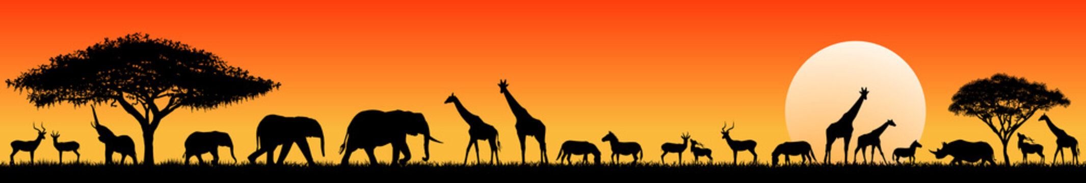 African savanna animals at sunset. Silhouettes of wild animals of the African savannah