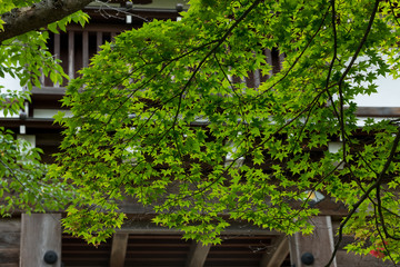 秋田県　千秋公園