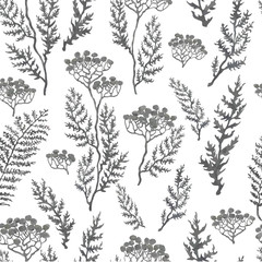 Vector seamless background with hand drawn illustration of herbs, plants and flowers. Can be used for wallpaper, pattern fills, web page, surface textures, textile print, wrapping paper