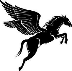 Pegasus Leap Take Off
