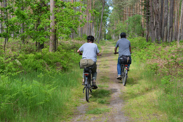 Rad fahren im Wald 