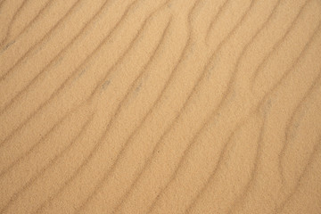 Fototapeta na wymiar close up on desert dune sand texture or background