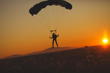 Silhouette of a skydiver with a canopy of a parachute landing on the field in the background of the sun and the evening sky. Parachute jumps.