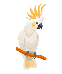 vector,trendy,stylized,nature,zoo,banner,animal,art,bird,card,cartoon,character,cockatoo,cute,design,exotic,funny,graphic,greeting,holiday,icon,illustration,isolated,parrot,summer,tropical,white backg © Tayisiya