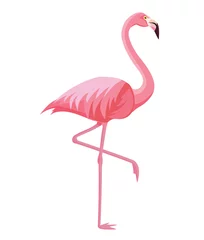 Muurstickers Pink flamingo on a white background. Vector illustration. © Tayisiya