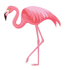 Naklejka premium Pink flamingo on a white background. Vector illustration.