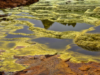 Danakil's depression dies incredibly bright colors that make salt crystals. Ethiopia