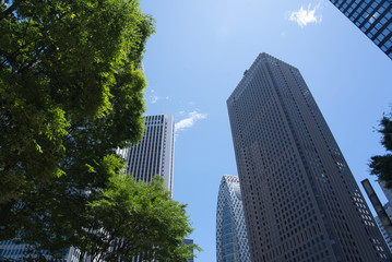 Obraz premium 緑とビル群