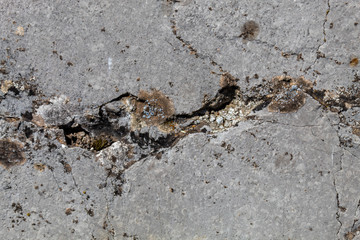 Grayish Old Weathered Cracked Natural Stone Texture