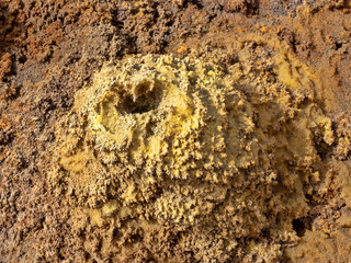 In the Danakilian depression of various fumaroles, steam emerges and water flows out. Ethiopia