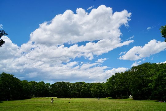 「白雲」の写真素材 | 3,813件の無料イラスト画像 | Adobe Stock