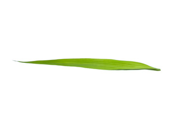 Obraz na płótnie Canvas Isolated of green leaf collection on white background and clipping path.Image.