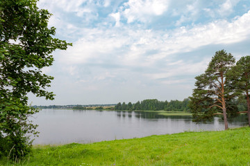 Fototapeta premium Pine trees on the lake bank opposite Ferapontovo monastery, Russia. Summer day, clouds in blue sky.