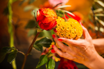 Cropped Hand arranging Flowers