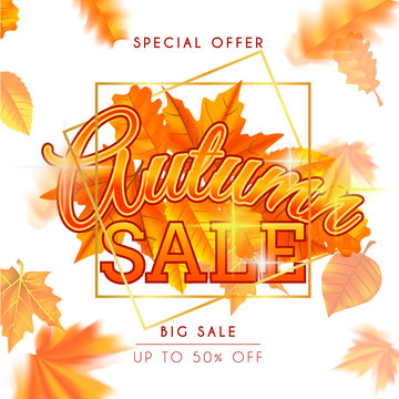Autumn background with maple leaves vector