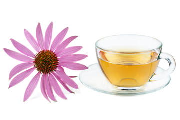 Cup of herbal tea and echinacea flower isolated on white backgrounds